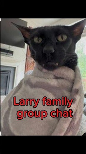 Evil larry group chat 😈🙀😨😱 #shorts #shortvideo