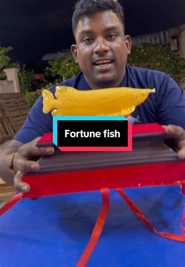 Fortune fish set..#fortuneteller #fortunefish #puven1089