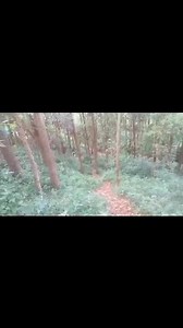 DJ AFRO AMINGOS LATEST TONY JAA MOVIE 👉 https://youtu.be/-oLFey4P_b4?si=CbchErORjbUcSX85 #DjAfro DDj Afro Amingos | DJ AFRO MOVIE CLIPS