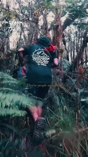 39 reactions | Ant Farm Wilderness Camping ⛺️ | Ant Farm Outdoors | Facebook