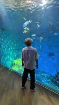 【浜松市】浜名湖体験学習施設 ウォット【水族館】