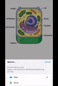 19K views · 321 reactions | Message me With The Word “SEND” and I will send you a Link to Sign up | Esomnofu Online MATH | Facebook