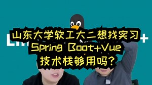 山东大学软工大二想找实习，Spring Boot Vue技术栈够用吗？未来就业方向怎么选？