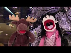 Look at All the Sea Animals! | Sing and Play Blue Adventures | Simple Skits and Songs for Kids