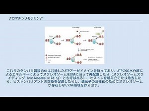クロマチンリモデリング