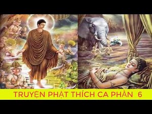 Bạn Có Duyên Với Đức Phật Khi Nghe Kể Chuyện Đêm Khuya Phật Thích Ca Mâu Ni Truyện Phật giáo p6