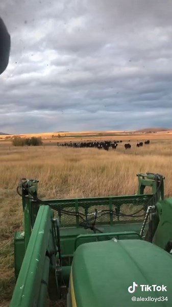 alexlloyd34 (@alexlloyd34)’s videos with original sound - alexlloyd34