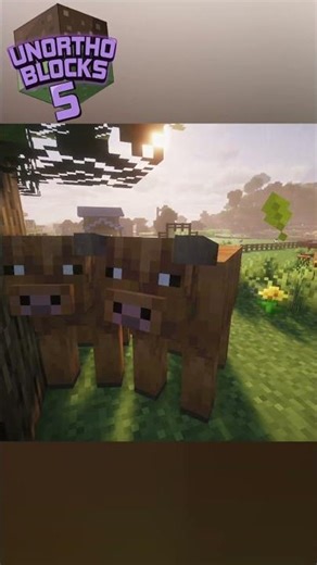 Minecraft Highland Cow's #minecraftshorts #unorthoblocks