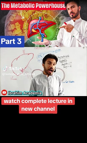 Understanding Bile and Liver Metabolism Explained