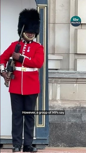 MPs urge Government to replace soldiers’ bear-fur hats with fake alternative