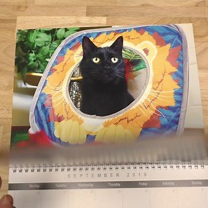 42K views · 2.1K reactions | LAST CHANCE to order the 2019 CAM...