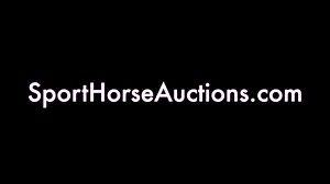 Bid for your favorite NOW in the June Online Auction for Sport Horses & Ponies at SportHorseAuctions.com Follow this link to go to the Auction Collection: https://internethorseauctions.com/auction.php?aucid=497 | Sporthorseauctions.com LLC