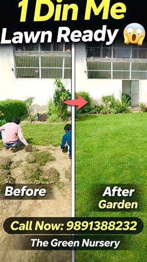 Zero Se Garden Ready 🌱 | Professional Garden Development Service #garden #gardening #landscaping