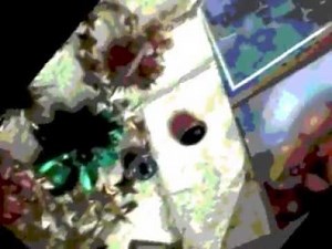 "Bolero Instrumental" Trad, Acoustic. Artists "Los Buenos Parranderos"