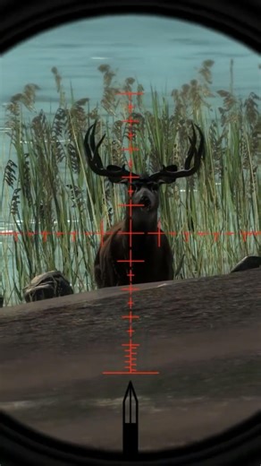 Taking down 160 scoring Blacktail Deer |the Hunter Classic #theHunterClassic #shorts