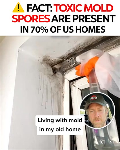 🌍 Imagine a world where mold isn’t just an unsightly nuisance — it’s a microscopic army invading your air. 🦠 These spores spread silently, releasing irritants and musty odors that affect your comfort with every breath. 🔬 Enter science: the UVO254™ Lamp emits hospital-grade UV-C light — a powerful form of electromagnetic energy — that breaks down mold at its DNA level. ☀️ Think of it as concentrated sunlight, scientifically tuned to disinfect your space without lifting a finger. 🌀 Then ozone 