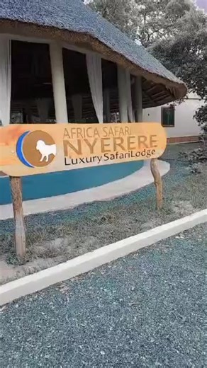 😋🥰baby lee light😺😻💋😈 (@babyleelight)’s videos with Asylum - Olivetheboy