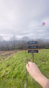 Visit our Kitchen & Store to enjoy some of the most delicious creations from our talented chefs. With ingredients fresh from our farm and local suppliers to your fork, it’s an experience not to be missed. https://www.opentable.co.uk/r/river-cottage-axminster #Cafe #OrganicFarming #FarmToFork #RiverCottage #Foodie #DevonDining #Brunch #FoodLover | River Cottage