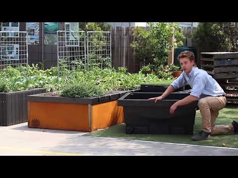 Foodcube - Full Setup