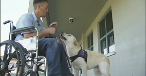 Inmates train service dogs in Sonoma County