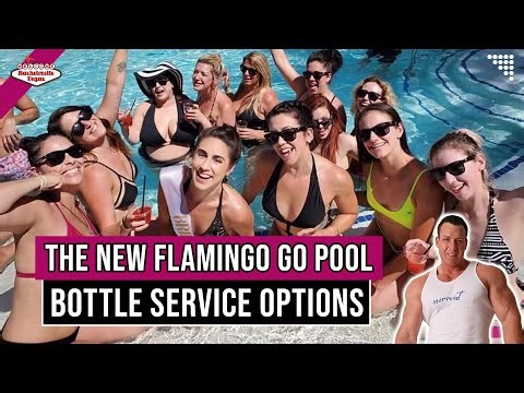 🌴 Flamingo Go Pool Party Guide
