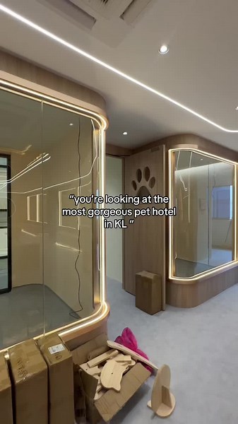 The Most Gorgeous Pet Hotel in KL for Ultimate Comfort | KLPetHotel
