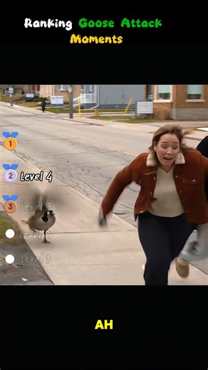 Ranking Goose Attack Moments 🤣🦆 #funny