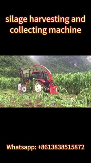 Amazing Silage Harvesting and Collecting Machine Working Video|Fast Grass Cutting & Loading Process