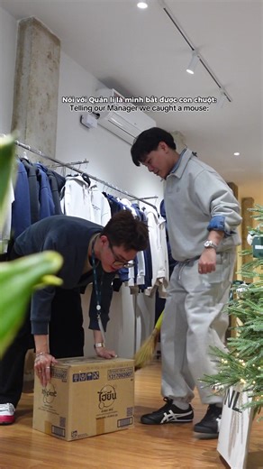 Owl Brand Prank Ideas for Fun