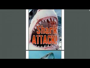 Shark Attack! Book Preview