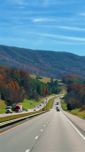 #virginia #december #usa #travel #nature | Travel