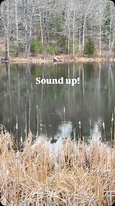 2.8K views · 9.3K reactions | Spring has officially begun in Maine. | Benjamin Williamson Photography | Facebook