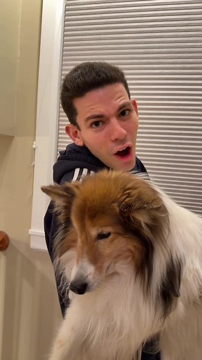 Find the Dog: A Fun Family Comedy