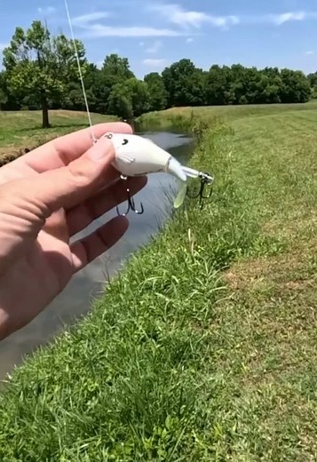 Best Fishing Lures for Small Creek Bass: Topwater & Whopper Plopper Tips