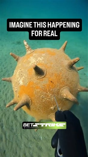 BoomBlastExplosion on Instagram: "The difference between a “cool find” and a lethal mistake is less than a second. Underwater, shockwaves travel over four times faster than they do in air. When a naval mine’s firing mechanism activates, survival isn’t determined by distance — it’s determined by physics. Even without shrapnel, the pressure wave alone can cause catastrophic internal injuries. Watch the seabed carefully. That rising silt wall isn’t just mud. It’s displaced energy ripping through th