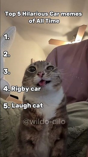 Ranking the Top 5 Funniest Cat Clips 😂🐾