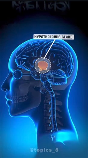 Hypothalamus Endocrine Gland | #reels #biology #neet #neetpreparation #neet2025 #neetstrategy #medico #medicos #doctor #knowledge #learnwithfun | Topics by Naveen Kumawat
