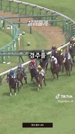 기수를 버리고 뛰쳐나간 경주마 #알려줄게#경주마#웃김 #말