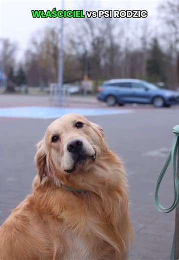 A Wy kim jesteście? 🤪