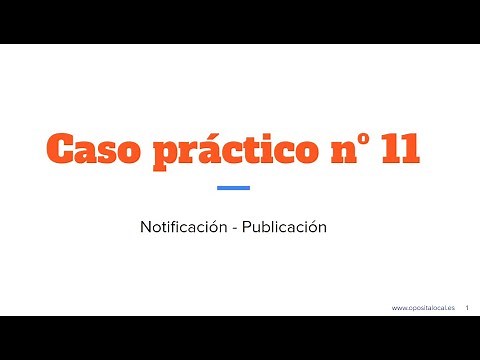 Caso práctico nº 11