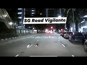 8aug2021 north bridge road hit and run incident. vehicle ran over a cat