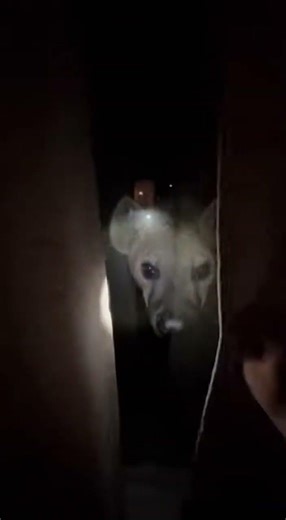 The Moment I Realized I Wasn't Alone #shorts #scary