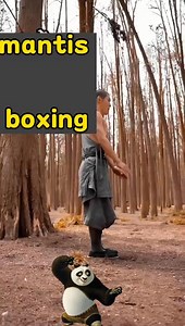 153K views · 3.8K reactions | Shaolin Five Animal Fist includes Eagle Tiger Crane Leopard and Snake Styles. lt is a Martial art that integrates both internal energy cultivation and combat techniques Not Only is it an excellent method for strengthening the body, but also a powerful system for real combat, (Shi Yan Pei) #Shaolin_Kung_Fu #Chinese_Shaolin_Martial_Art #Yunnan_Shaolin_Temple_China | Shaolin Kong Fu | Facebook