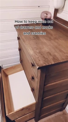 Effective Ways to Keep Mice Away from Your Home