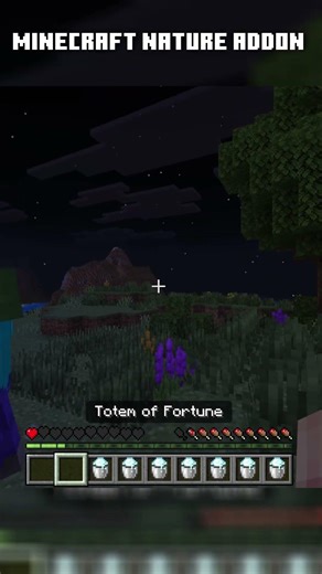 NatureCraft vs. Vanilla Minecraft #minecraft #nature #comparison #viral #minecraftshorts #4k