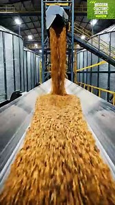 Cooking Oil Manufacturing Process | From Seeds to Bottle