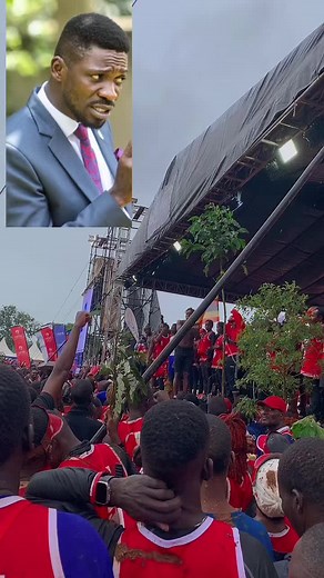 kadabra (@kadabra50)’s videos with original sound - kadabra