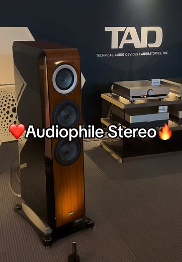 Audiophile HiEnd Home Stereo HiFi Sound System ❤️ TAD 🔥 #highend #audio #speaker #bigbadjohn #setup
