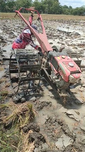 The Rice Land Preparation Process First Guys.... Digging!!