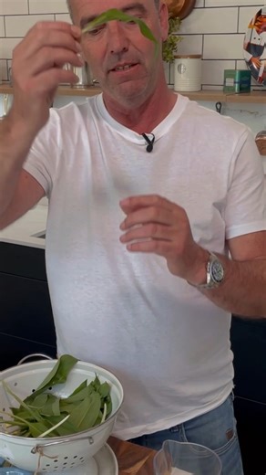 18K views · 271 reactions | Wild Garlic Pesto is the best Irish pesto to prepare at home. Use it with any recipe from dipping into bread, tossing it in pasta or flavouring a fish or chicken creamy sauce. Delicious! check the recipe on www.kevindundon.com 華 . . . #kevindundon #kevindundonrecipe #ireland #irishchef #foodlover | Kevin Dundon | Facebook